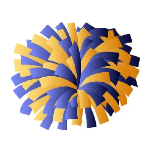 Cheer Athletic Customized Shirts Design and Printing for Adults and Youth.