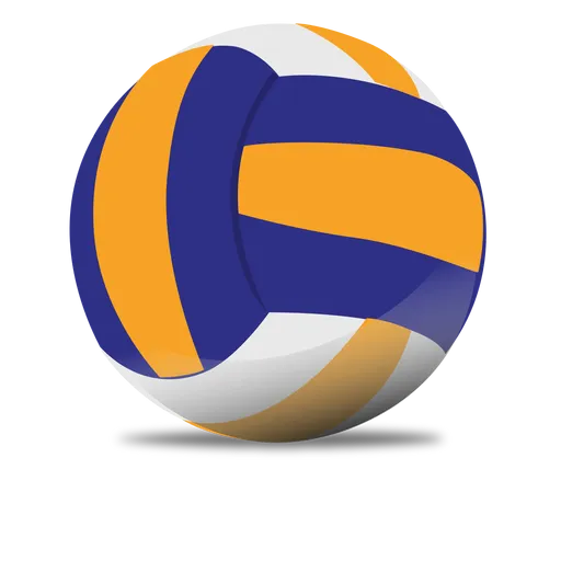 Volleyball Athletic Adult Youth Customize Shirts Design Printing